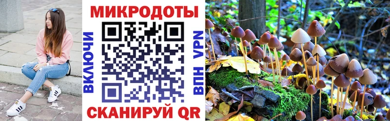 Галлюциногенные грибы Psilocybe  Киреевск 