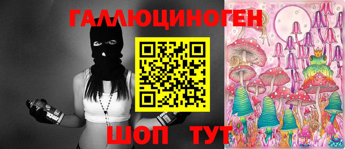 Галлюциногенные грибы Psilocybine cubensis Киреевск