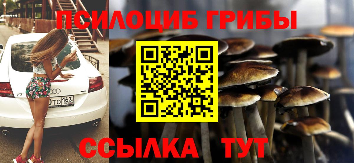 Псилоцибиновые грибы мицелий  Киреевск 
